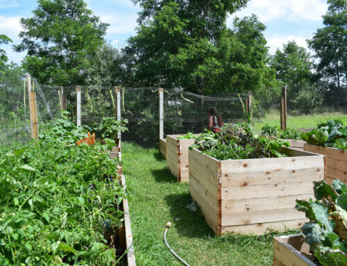 Community Garden Program